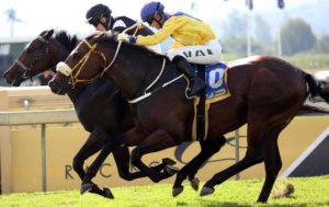 Gulf Storm shades Gauteng raider Moofeed in a tight finish tp the In Full Flight last time