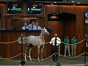 Photo: Joseph DiOrio Hip 439, a Tapit filly, sold for $1.9 million during the second session of the OBS spring sale. 