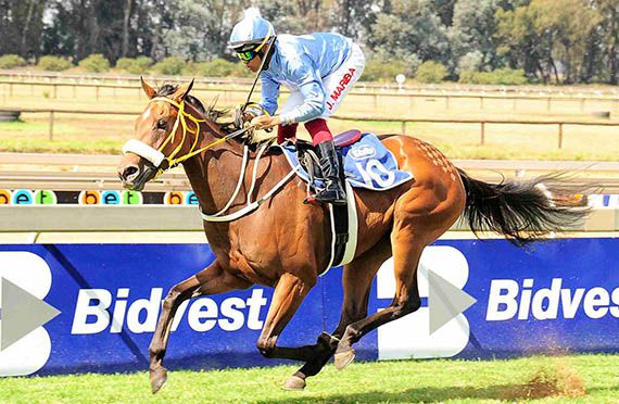 One Fine Day wins at Vaal 2014-04-15