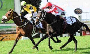 Pine Princess ends Siren's Call Triple Tiara dreams