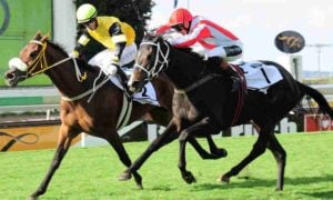 Pine Princess ends Siren's Call Triple Tiara dreams