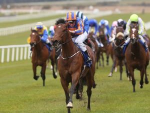 The Warrior (copyright Racing Post)