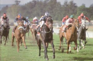 1995 Gr1 SA Fillies Sprint