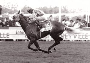 1995 Gr2 Greyville 1900