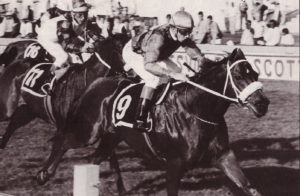 1995 Premier's Stakes