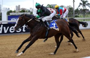 Billy Jaobson salutes on Miss Nightingale - GSB's first winner