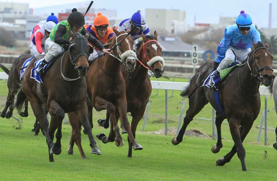 Royal Dreamer winning the Winter Classic