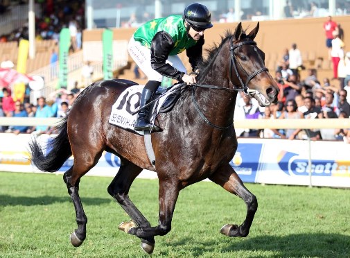 Seventh Plain - Gr1 Tsogo Sun Medallion winner