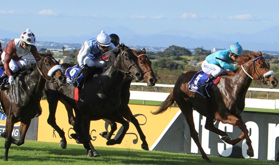 Richard Fourie drives Sunset Tripp up on the rail to held Seven Grand and Moonsong Magic (Pic: Bay Media)