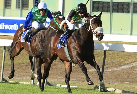 Anton Marcus keeps Tar Heel at his task to beat Western Storm (Brandon Morgenrood) in the Somerset 1200 (Pic: Bay Media)