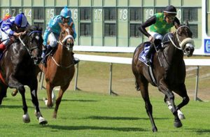 The Stone Thrower will be ridden by Greg Cheyne