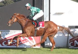 Quinton Riddle and Yer-Maan win the Tankard (Pic: Gavin Macleod)