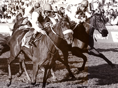 Wainui wins the 1990 Fillies Sprint