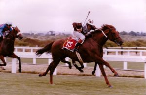 Crimson Waves wins the 1994 Gr1 Queen's Plate