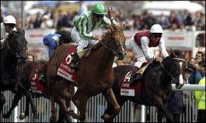 1995 Epsom Derby winner, Lammtarra