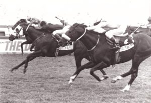 Teal wins the 1995 Gr1 Daily News 2000