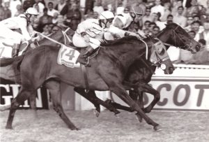 Carolera wins the 1995 SA Oaks