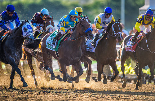 American Pharoah in the 2015 Belmont Stakes