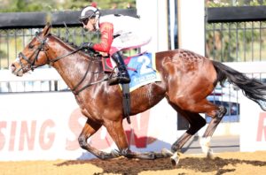 Belong To Me wins the Durban Dash in style