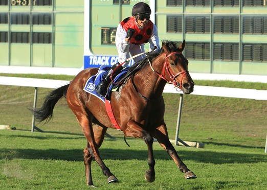 Captain Chaos wins the Cape Of Good Hope Nursery