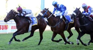 Alashooqa goes down narrowly to Flying Ice in the Devon Air Stakes