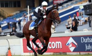 Futura VDJ Gallops