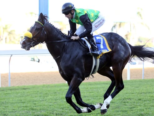 Rabada wins Gatecrasher Stakes