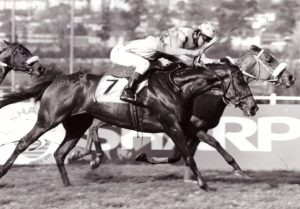 1995 Tibouchina Stakes