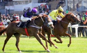 AL SALAAM BETULA UBER SIMONS V.D. MERWE