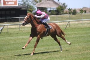 Starry Notions will be ridden by Brendon McNaughton (Gavin MacLeod)