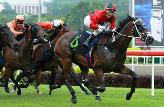 Chase (Shafiq Rizuan) comes with a strong finish to claim Race 6 , picture Singapore Turf Club