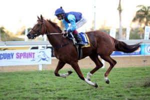 Deputy Ryder wins the Umkhmazi Stakes