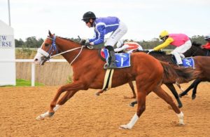 Gogetthesheriff (by Go Deputy) is Polytrack Horse Of The Year