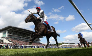 Golden Horn - unbeaten record on the line