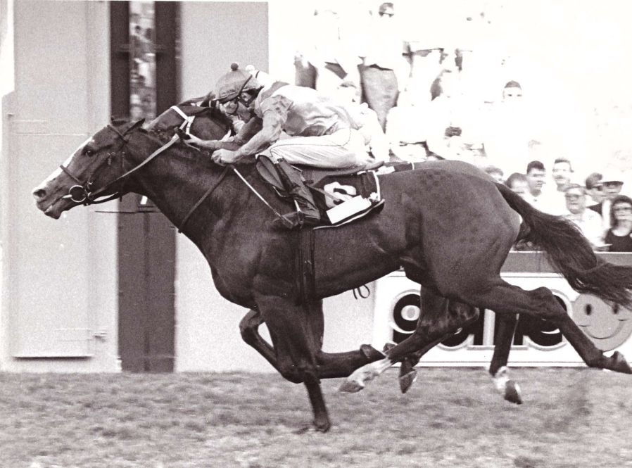 Tropicante wins the 1989 Gold Cup