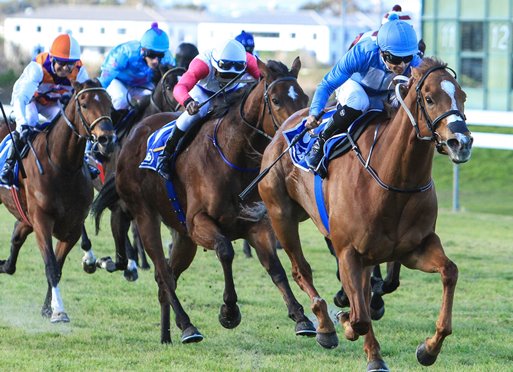 Lanner Falcon wins Champagne Stakes