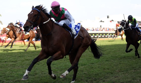 Ultimate Dollar - aiming for Summer Cup but first stop Vaal next Saturday