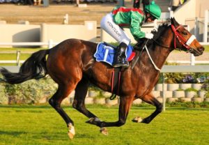 Yoshie wins L East Cape Breeders Stakes