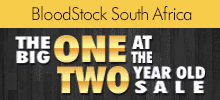 bsa_national-2yo-sale-masthead-2015new