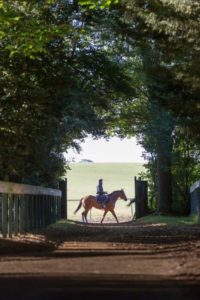 Short walk to the heath (credit: hamishNIVENPhotography