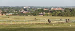 Newmarket heath (credit: hamishNIVENPhotography)