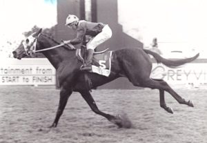 Festive Forever wins the 1995 Gr2 Natalia Stakes