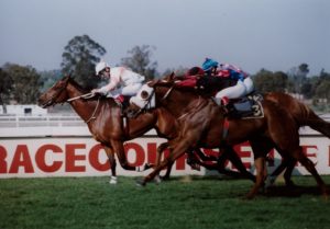 Teal dead heats with Young Victor in the 1995 Gr2 Premier's Handicap