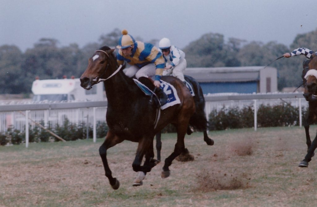 1995 Listed SAA Voyager Stakes