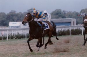 1995 Listed SAA Voyager Stakes