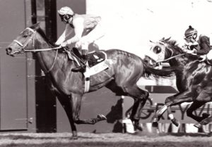 Casey's Honour wins the 1995 Stewards Cup