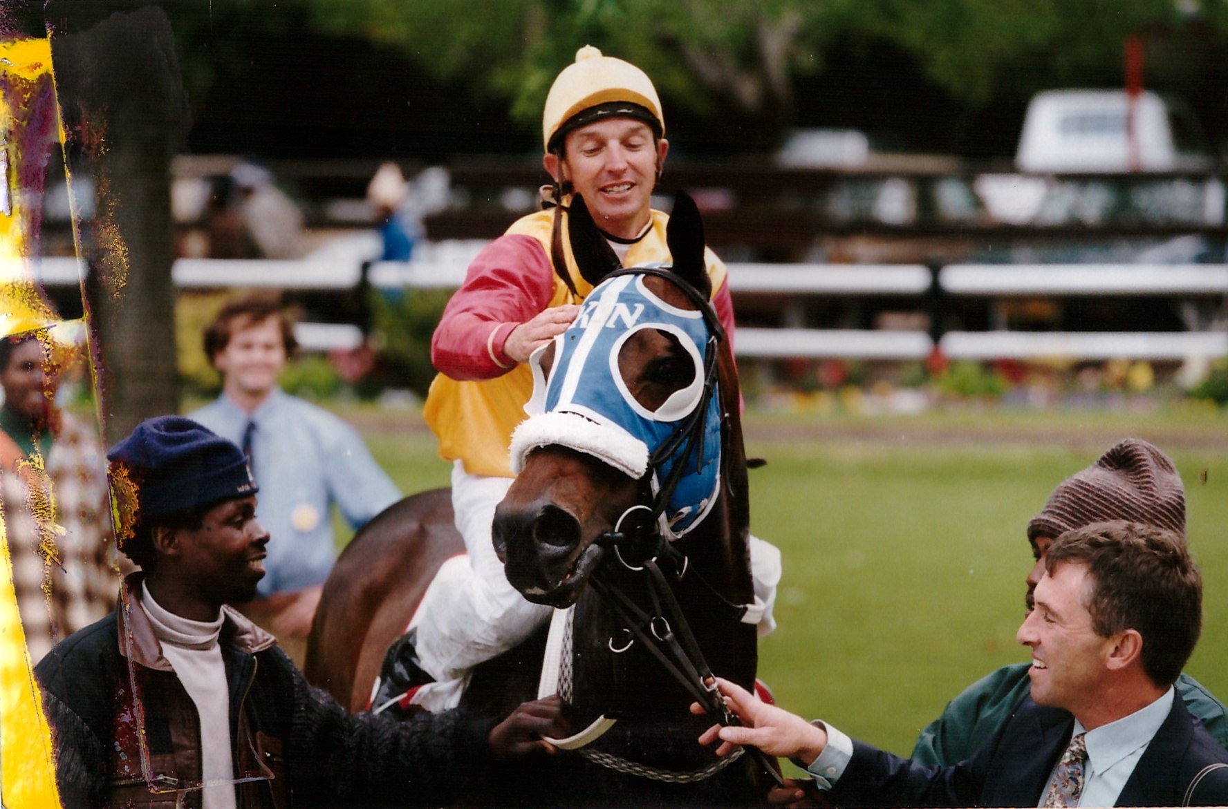 Cape Horse of the Year - Flobayou