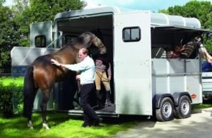 Loading a horse
