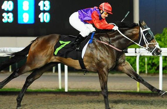 MY LUCKY STRIKE looks well placed (Pic by Singapore Turf Club)