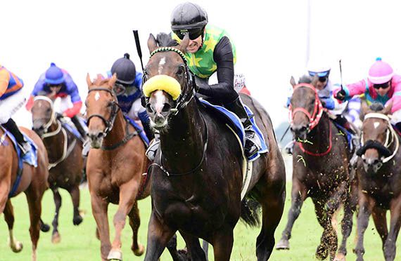 Rabada wins in Turffontein on 2015-03-28